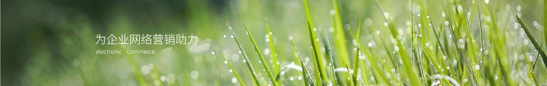 ϺҴϢƼ޹˾
